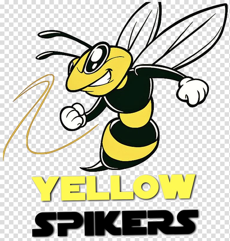 graphics Open Yellowjacket, BEE CARTOON transparent background PNG clipart