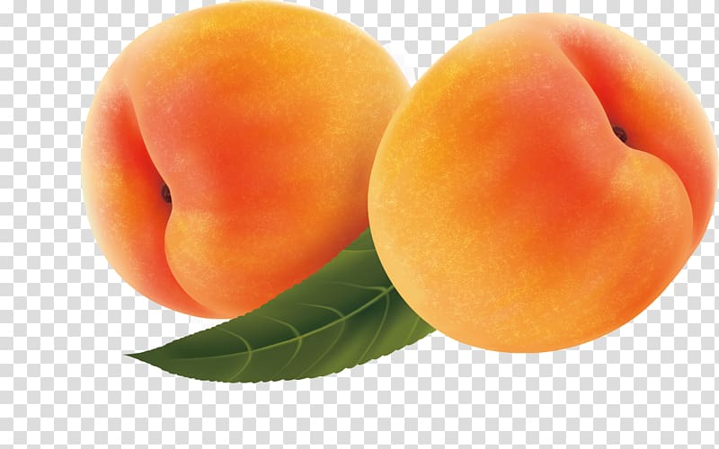 Fruit Apricot Peach, apricot transparent background PNG clipart