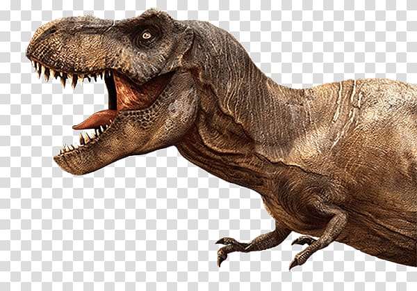 Tyrannosaurus Zoo Tycoon: Dinosaur Digs Velociraptor Allosaurus Spinosaurus, dinosaur transparent background PNG clipart