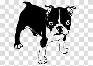 French Bulldog American Bulldog Boston Terrier Puppy, puppy transparent background PNG clipart thumbnail