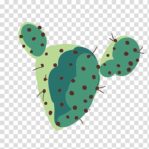 Green Cactaceae, cactus transparent background PNG clipart