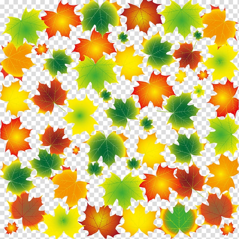 Maple leaf Tree, colored maple leaves transparent background PNG clipart