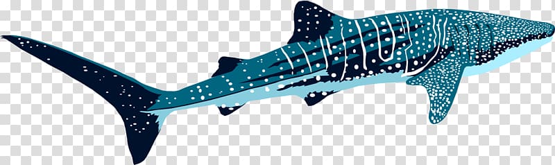 Tiger shark Marine biology Marine mammal Requiem sharks, Whale shark transparent background PNG clipart