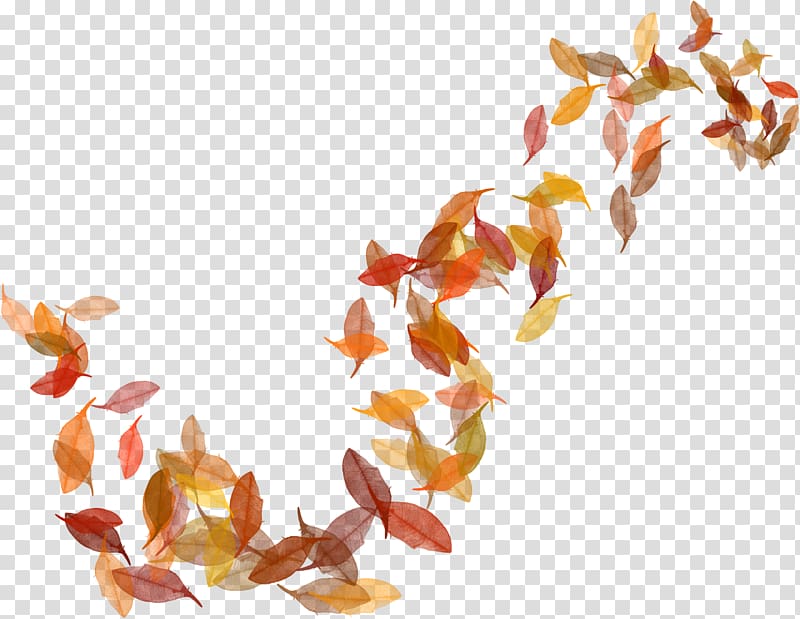 withered autumn leaves transparent background PNG clipart