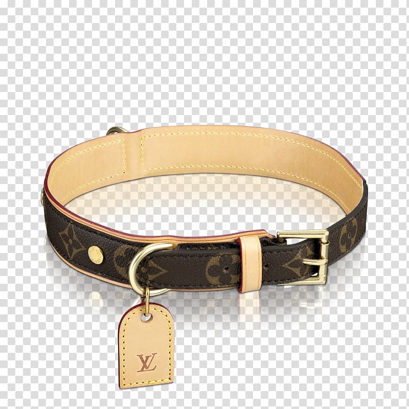 Cat Miniature Schnauzer Dog collar Leash, Cat transparent background PNG clipart