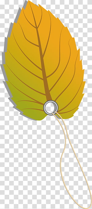 Leaf , Autumn tag decoration design transparent background PNG clipart thumbnail