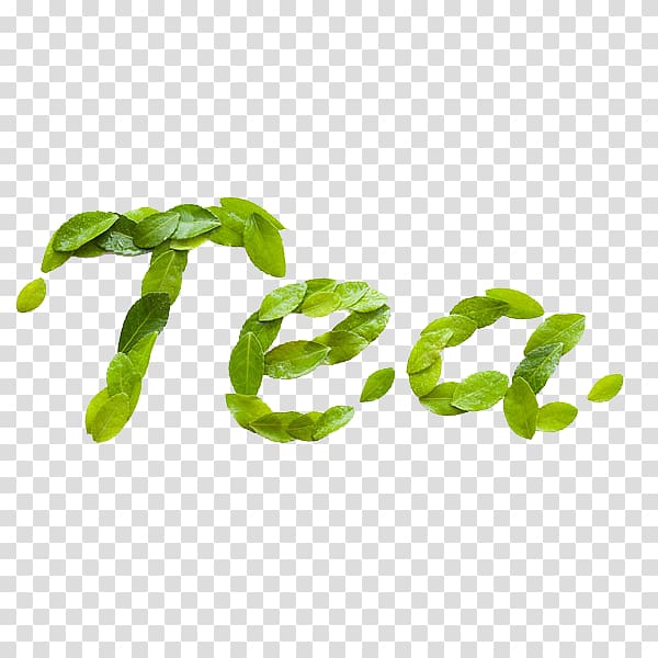 green leafed tea-text illusstration, Green tea Keemun Yum cha Hyson, Green tea leaves transparent background PNG clipart