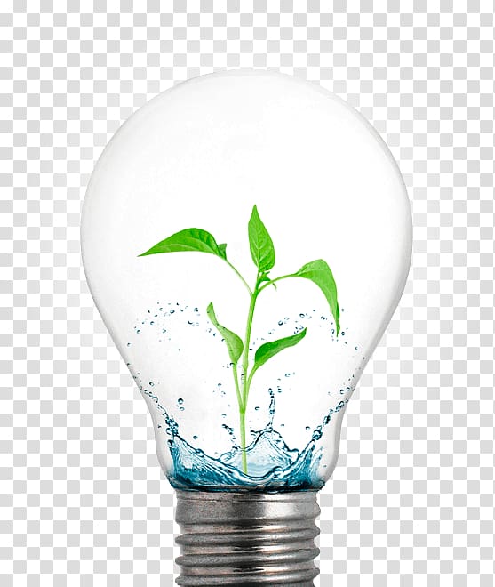 Incandescent light bulb Light-emitting diode Electric light, light transparent background PNG clipart