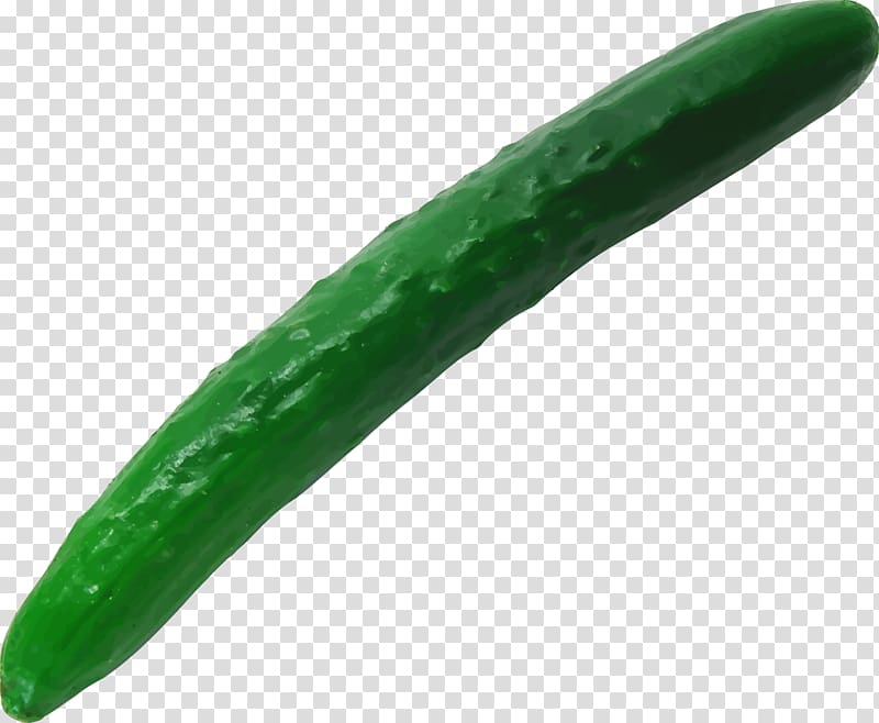 Pickled cucumber Vegetable, vegetable transparent background PNG clipart