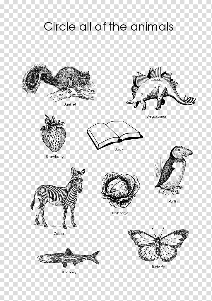 Animal Cat Worksheet Horse Vertebrate, Anchovy transparent background PNG clipart
