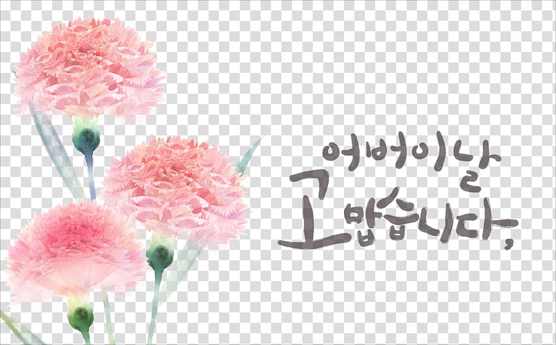 Carnation Flower , Delicate floral carnations psd transparent background PNG clipart