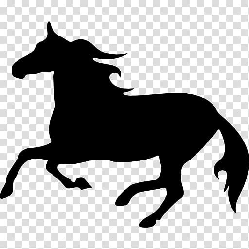 Horse racing , horse silhouette transparent background PNG clipart