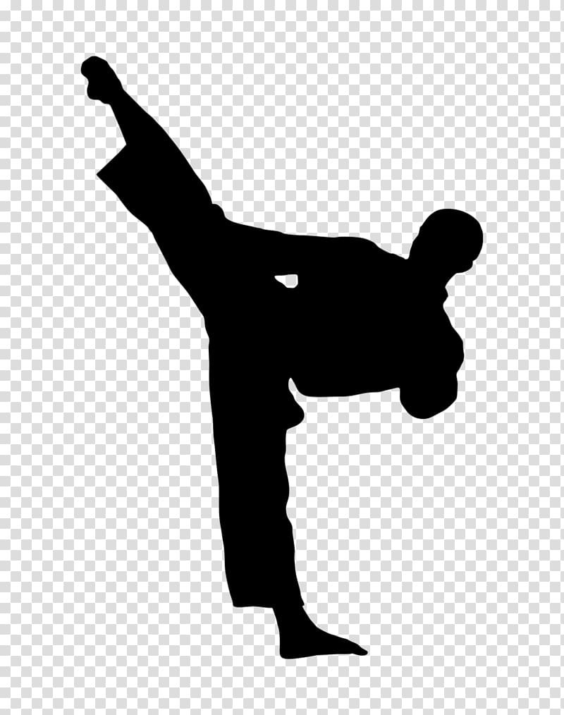 karate jump kick silhouette