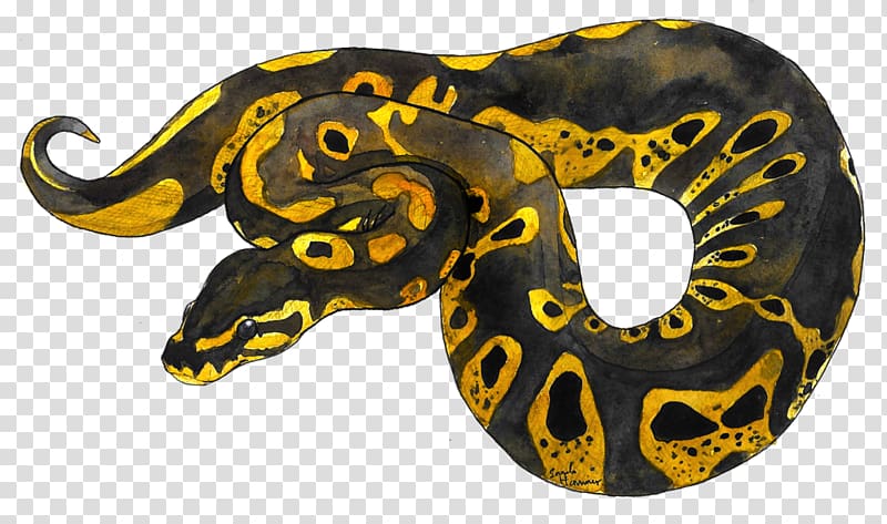 Ball python Snake Pet Animal Cat, snake transparent background PNG clipart
