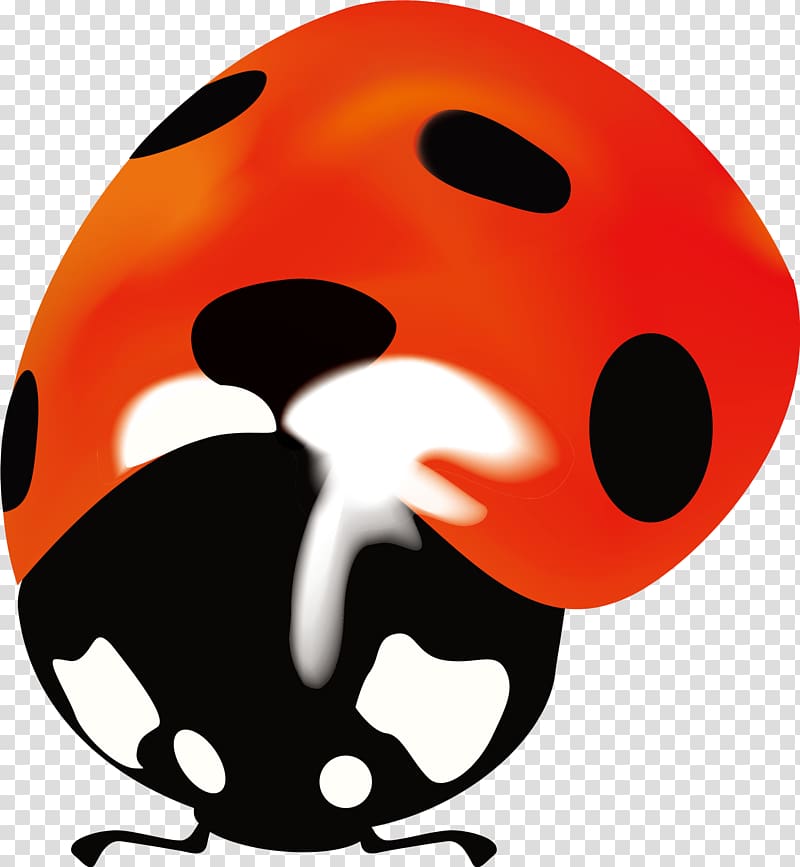 Snout Lady Bird , Orange simple ladybug transparent background PNG clipart