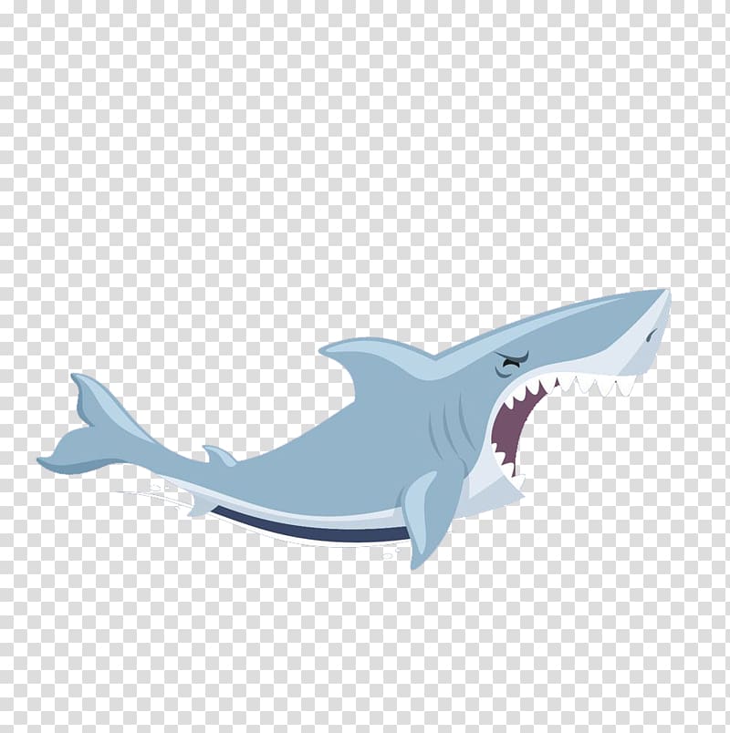 grey and white shark illustration, Shark Illustration, shark transparent background PNG clipart