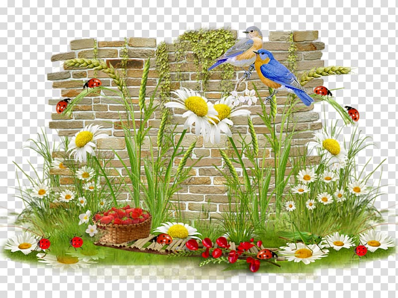 Floral design Bird Diaporama, CENTER DESIGN transparent background PNG clipart