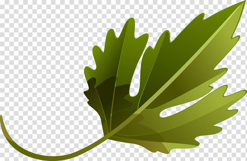 Leaf vegetable Plant Tree, leaves transparent background PNG clipart