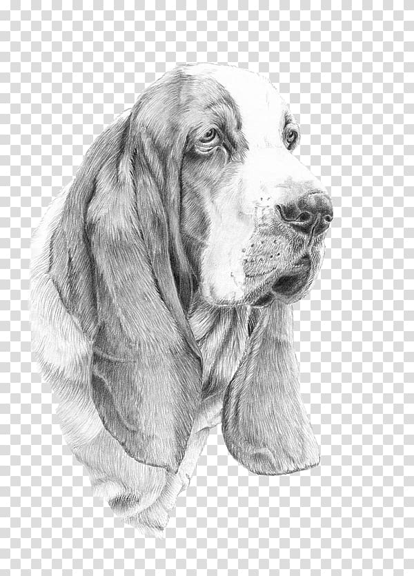Sussex Spaniel Basset Hound Dog breed iPhone 6, dogo argentino transparent background PNG clipart