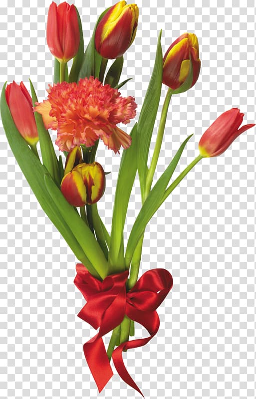 Tulip mania Flower bouquet, Tulips Free Real pull transparent background PNG clipart