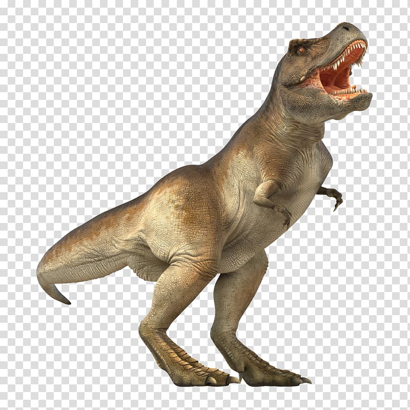 long tailed tyrannosaurus rex transparent background PNG clipart