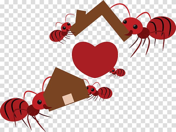 Ant Teamwork Euclidean Illustration, Ants move houses transparent background PNG clipart
