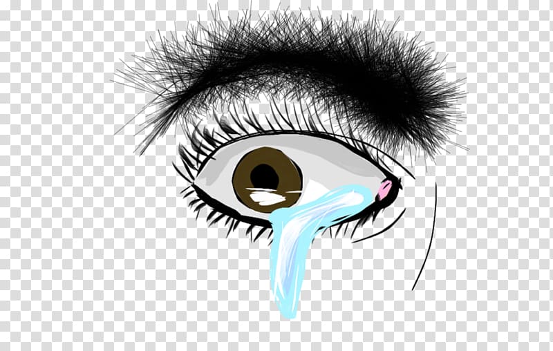 Eyelash extensions Eyebrow Face, eye tears transparent background PNG clipart