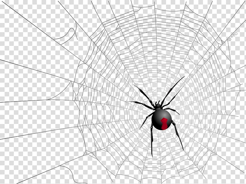 spider web spider transparent background PNG clipart