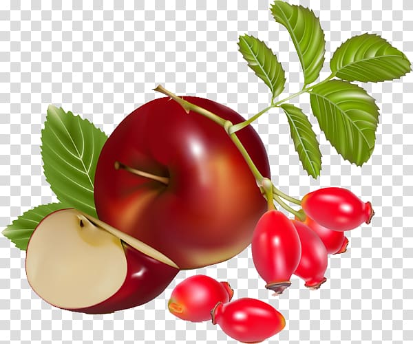 Tomato Euclidean Rose hip Illustration, Tomatoes and apples transparent background PNG clipart