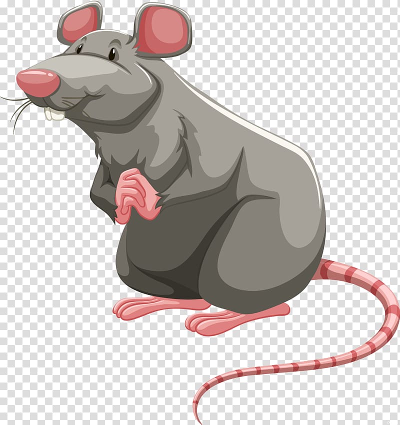 Laboratory rat Brown rat Rodent , rat cartoon transparent background PNG clipart