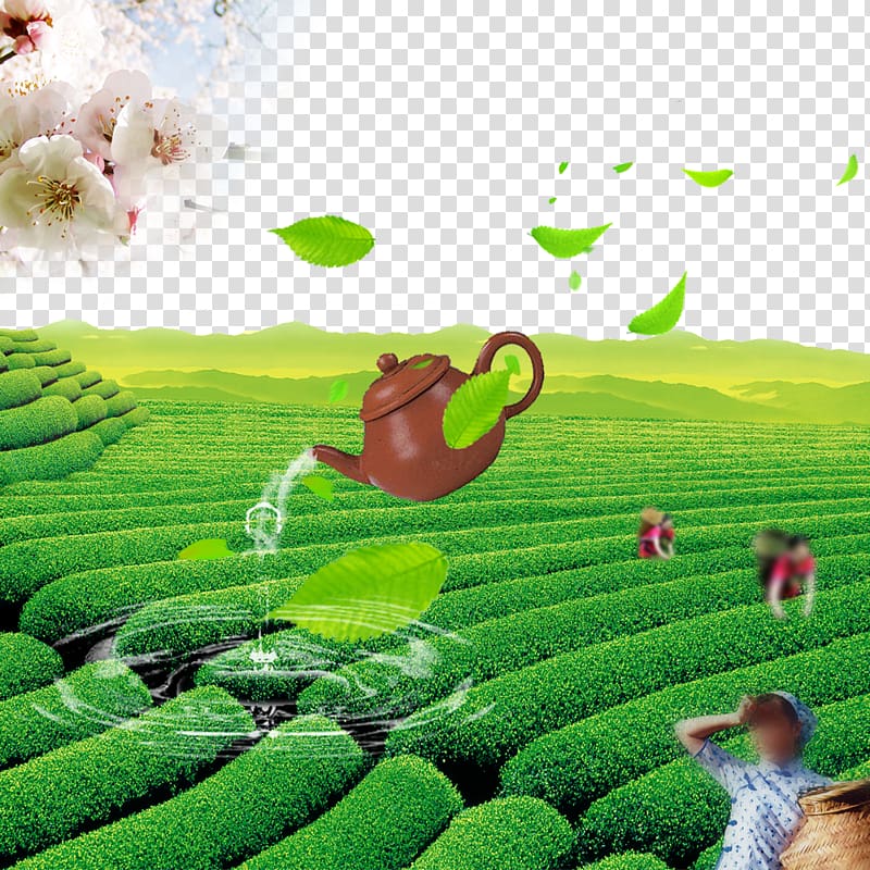 Tea Computer file, Spring morning tea transparent background PNG clipart