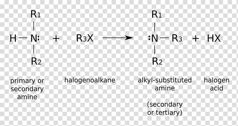 Alkylation n-Butylamine Organic chemistry Functional group, plus size transparent background PNG clipart