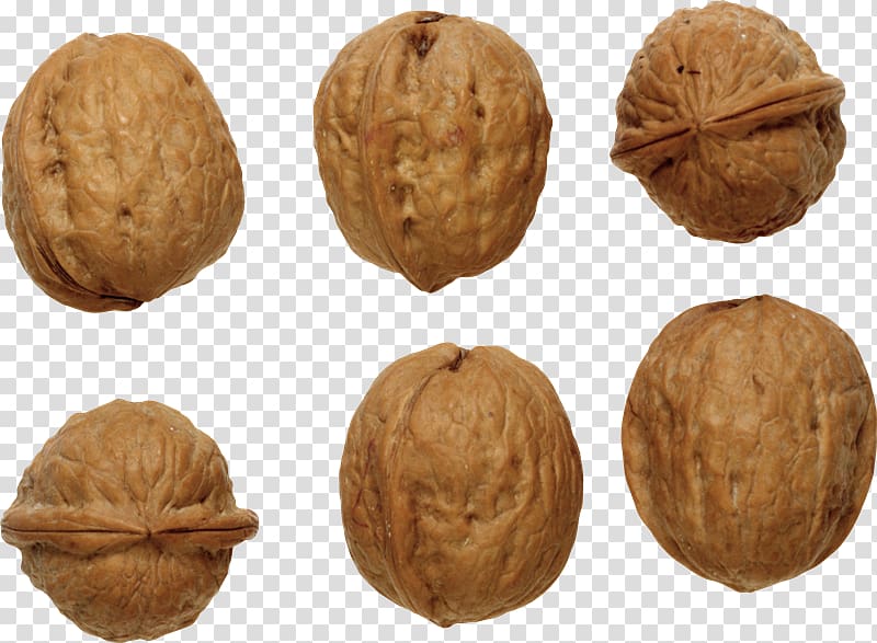 English walnut , nuez transparent background PNG clipart