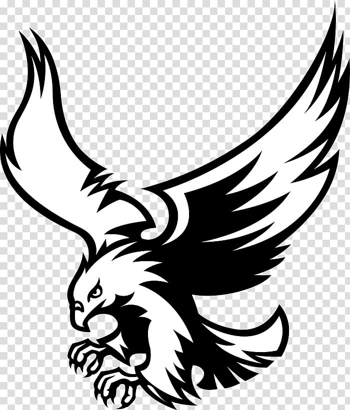 Visual arts Black Eagle , others transparent background PNG clipart