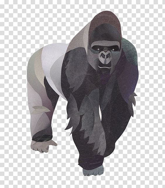 Mountain gorilla Orangutan Ape Illustration, Orangutan illustration transparent background PNG clipart