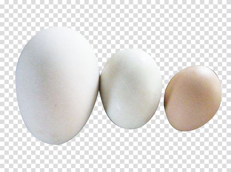 Egg, Goose egg duck egg material transparent background PNG clipart