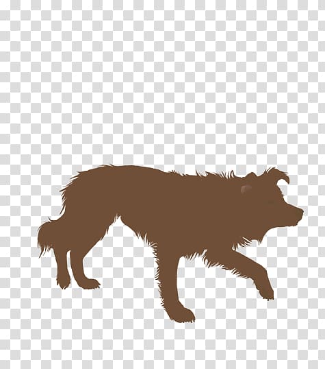 Border Collie Rough Collie Dog agility Silhouette, bordercollie transparent background PNG clipart