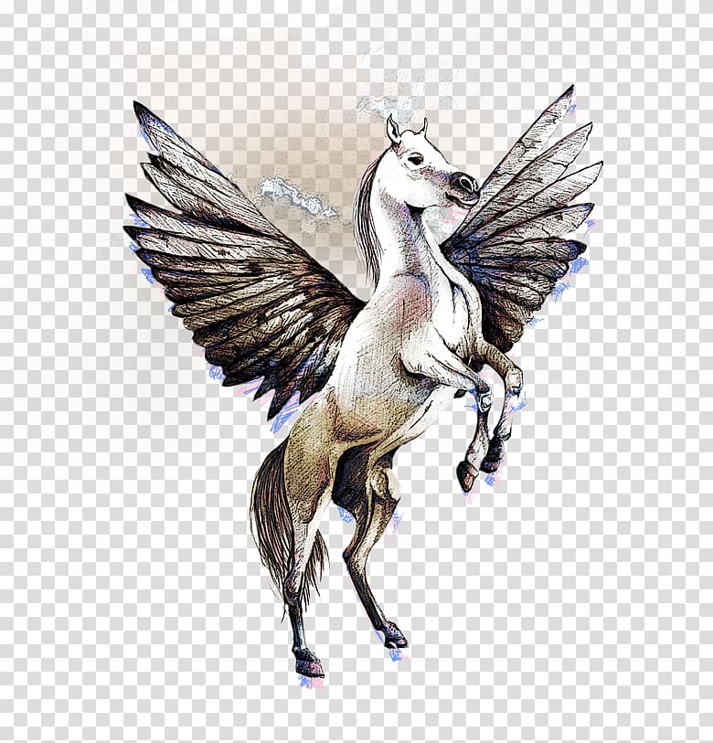 Pegasus Horse Drawing, Pegasus transparent background PNG clipart