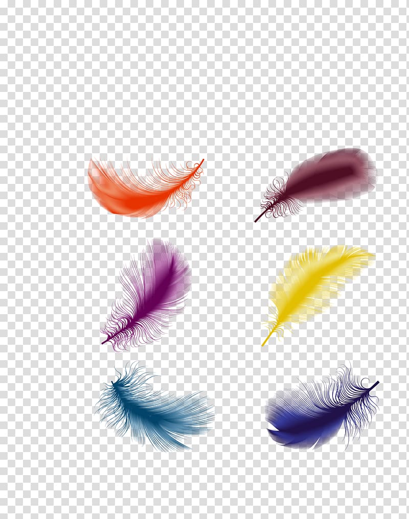 six assorted-color fathers illustration, The Floating Feather, color feathers decoration transparent background PNG clipart