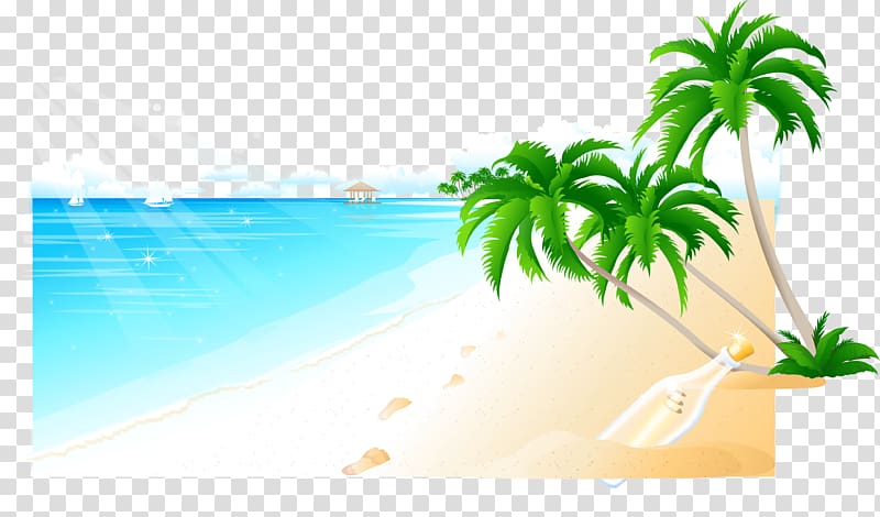 Coconut Arecaceae Tree, Background material sea transparent background PNG clipart