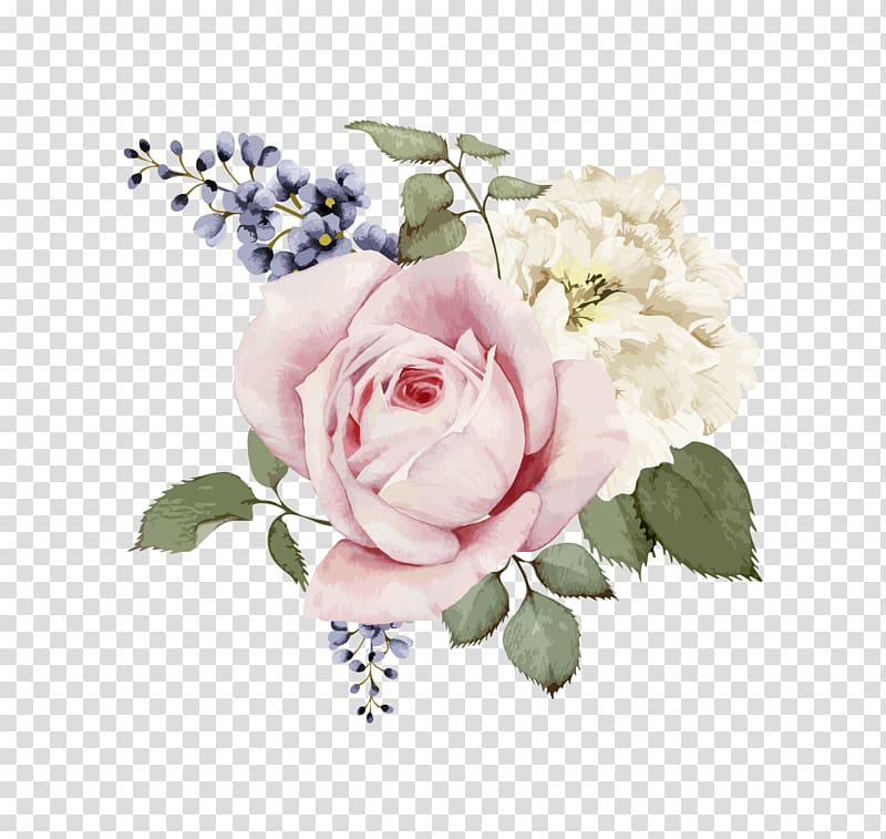 two pink and white petaled flowers, Rose Flower Painting , Hand-painted watercolor flower transparent background PNG clipart