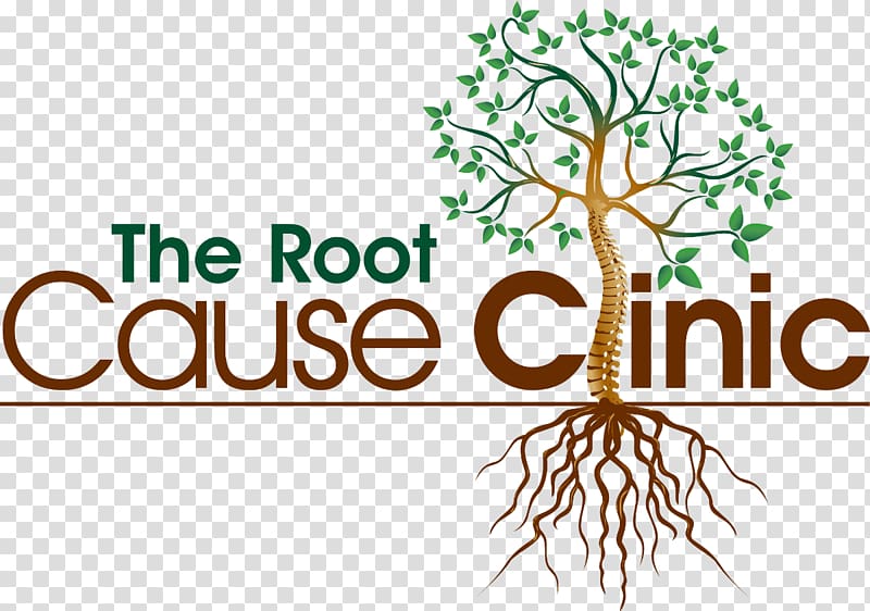 The Root Cause Clinic Thyroid disease Physician Hospital, Root Cause transparent background PNG clipart