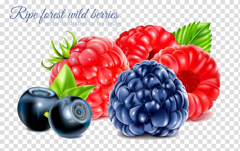 Frutti di bosco Raspberry Fruit, Raspberry transparent background PNG clipart
