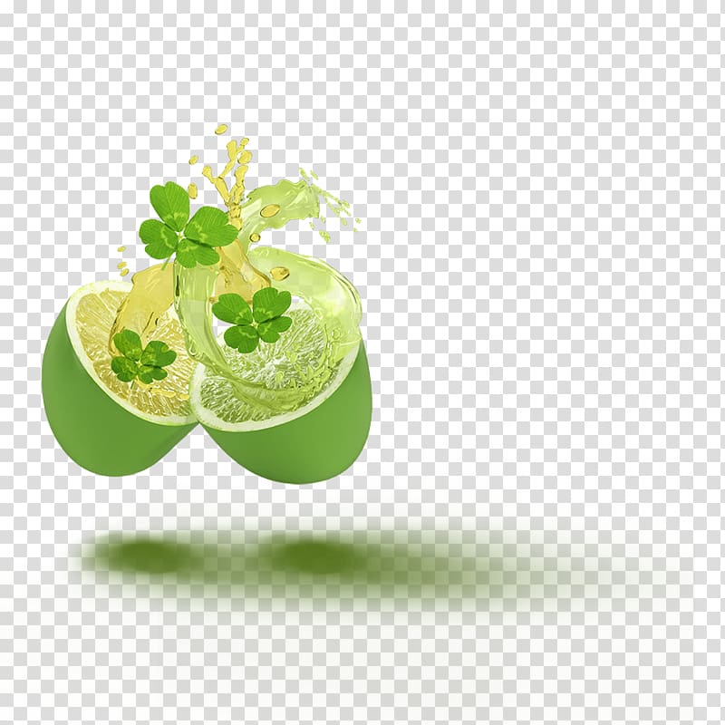 Lime Flavor The Jelly Belly Candy Company Bean, good luck transparent background PNG clipart