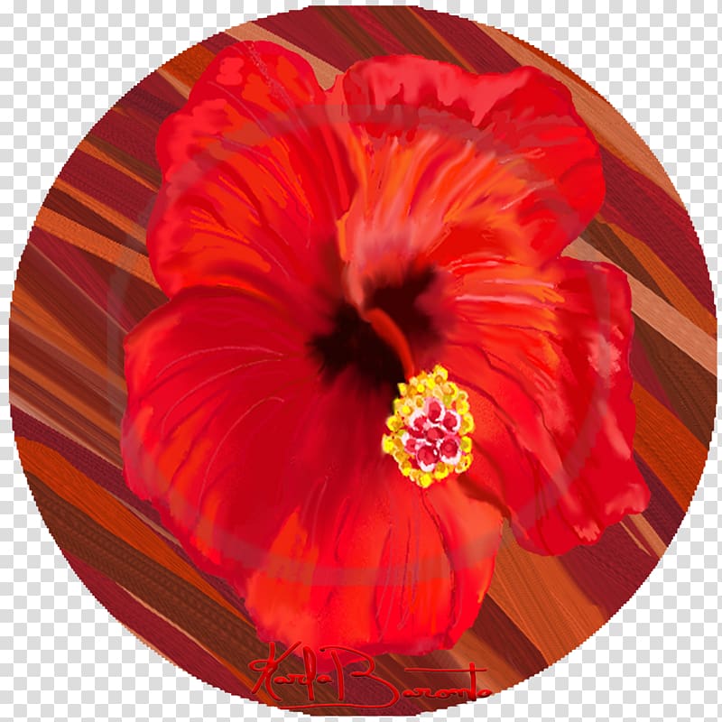 Hibiscus Chinese cuisine Annual plant, Hi Ho Cherryo transparent background PNG clipart