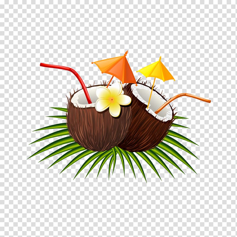 Coconut Euclidean , coconut transparent background PNG clipart