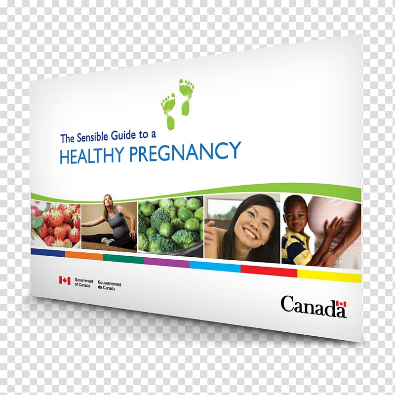 The Sensible Guide to a Healthy Pregnancy Canada\'s Food Guide Nutrition and pregnancy, pregnancy transparent background PNG clipart