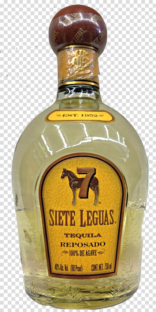 Liqueur Tequila Siete Leguas Whiskey Liquor, tequila shooter transparent background PNG clipart