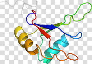 Line , design transparent background PNG clipart thumbnail