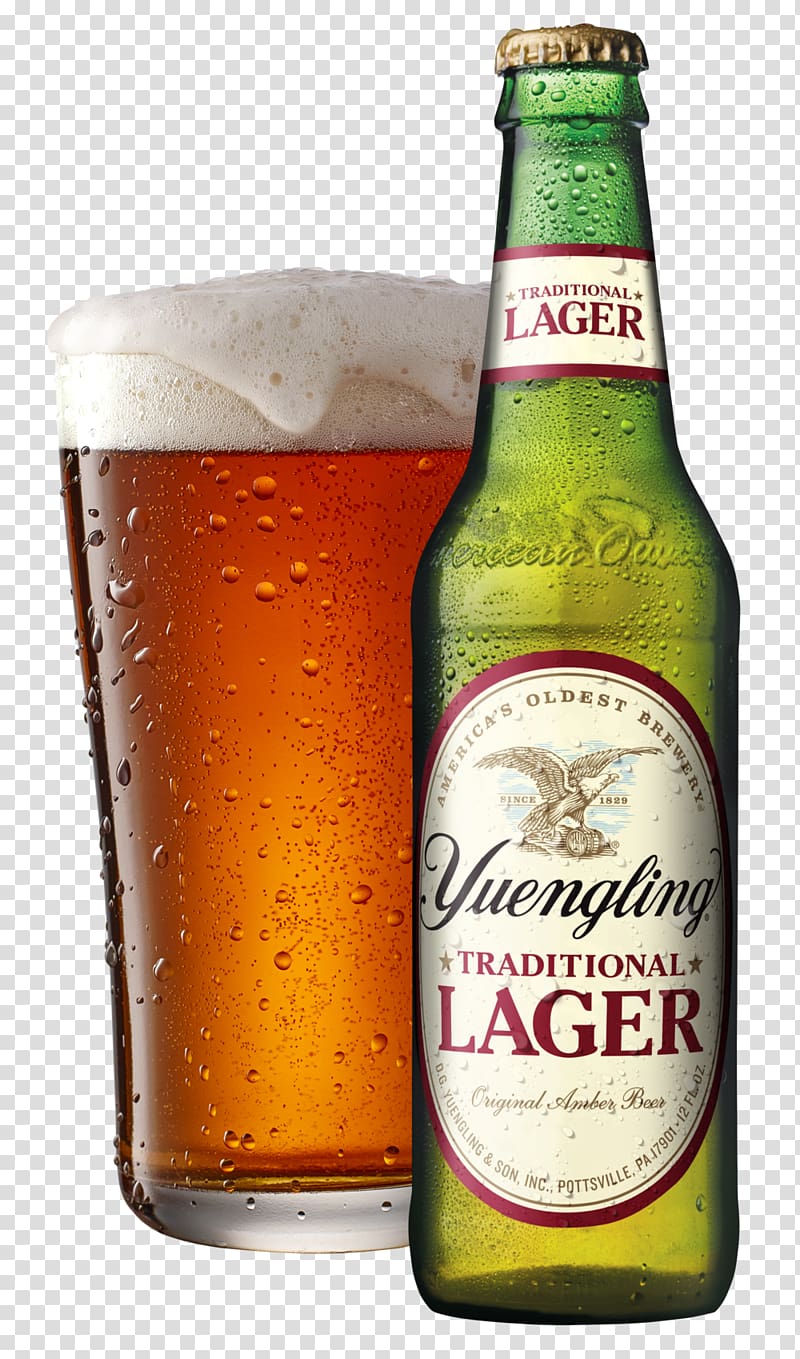 Yuengling Beer Lager Pilsner Brewery, beer transparent background PNG clipart